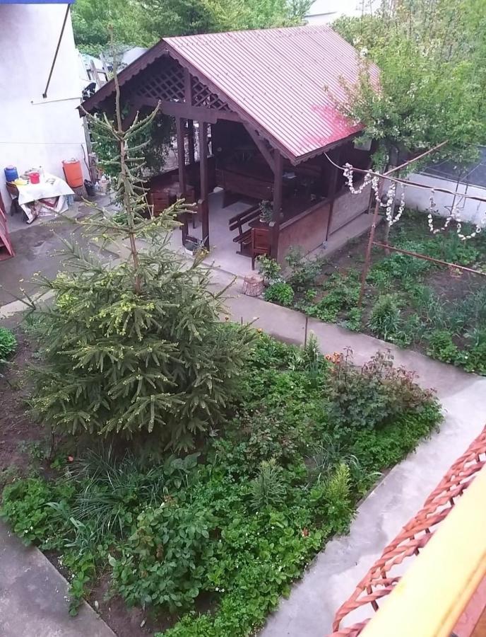 Hotel Pensiune La Rodica Costineşti Exteriér fotografie