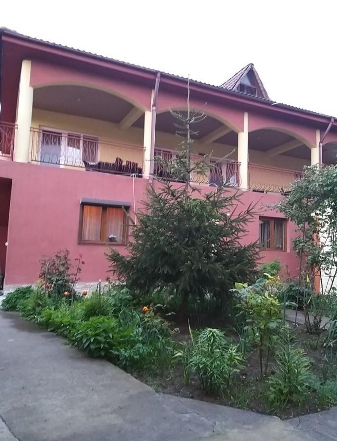 Hotel Pensiune La Rodica Costineşti Exteriér fotografie
